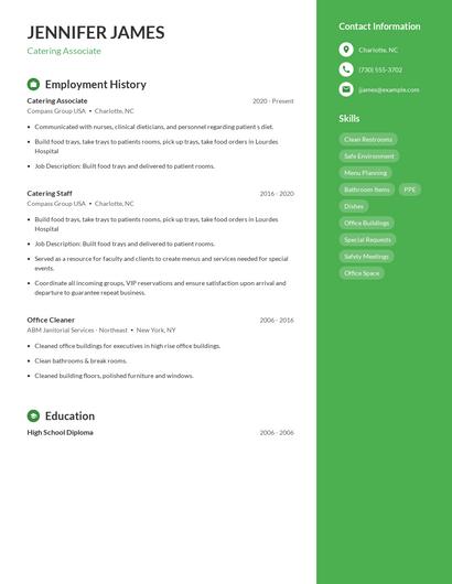 Resume example 4