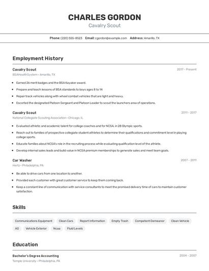 Resume example 2