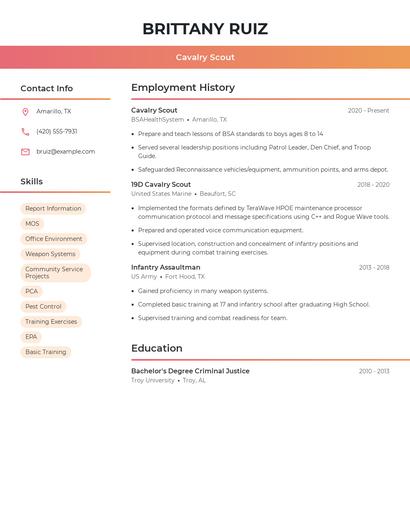 Resume example 3