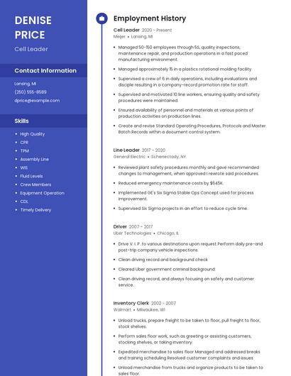 Resume example 5