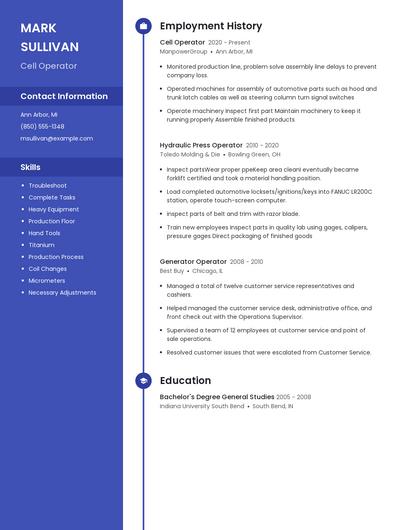 Resume example 5