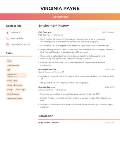 Resume example 3