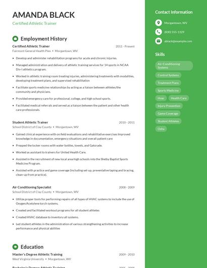 Resume example 4