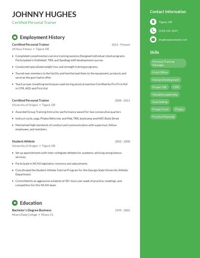 Resume example 4