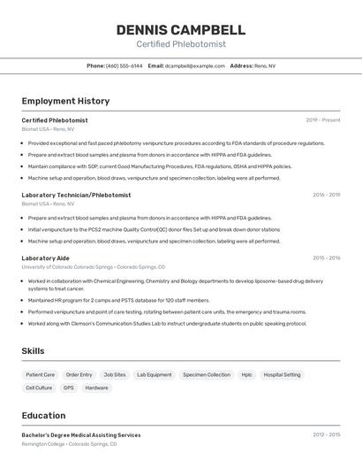 Resume example 2