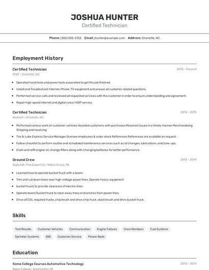 Resume example 2