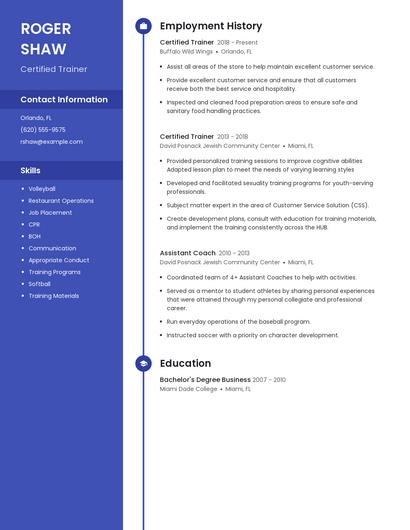 Resume example 4