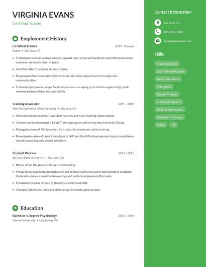Resume example 5