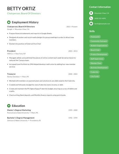 Chairperson, Board Of Directors Resume