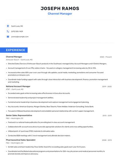 Channel Manager Resume