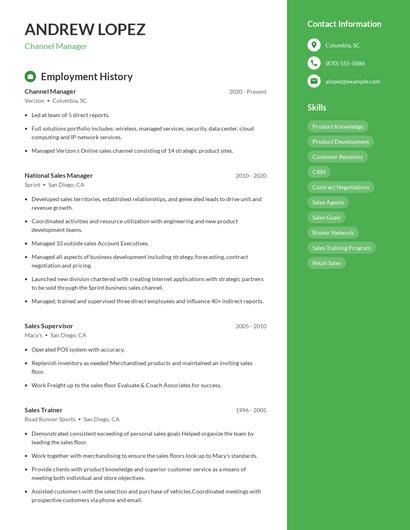 Channel Manager Resume