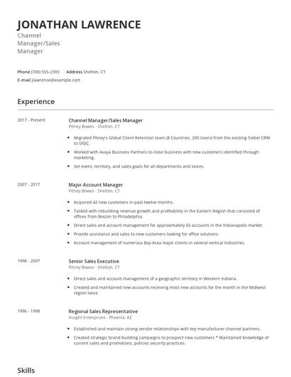 Channel Manager/Sales Manager Resume