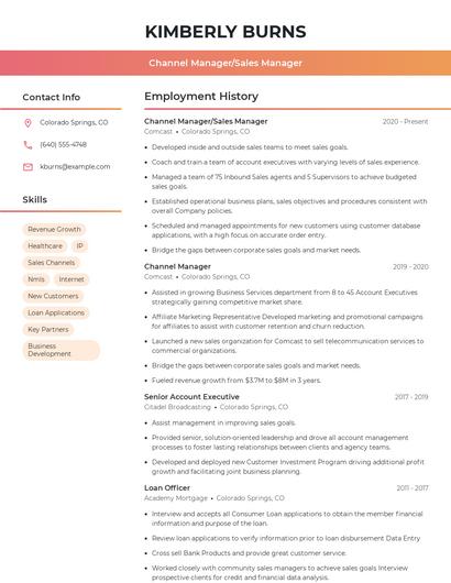 Channel Manager/Sales Manager Resume