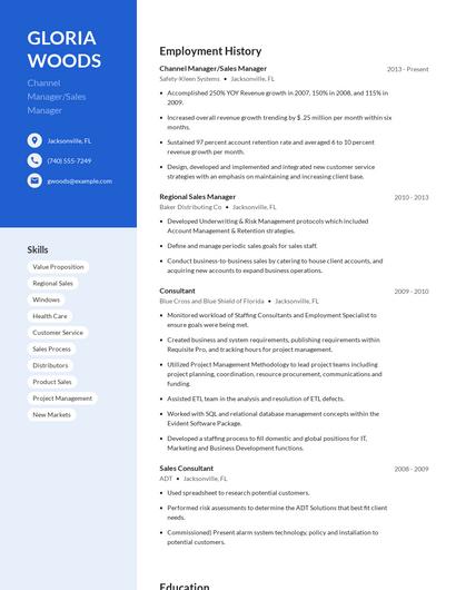 Channel Manager/Sales Manager Resume