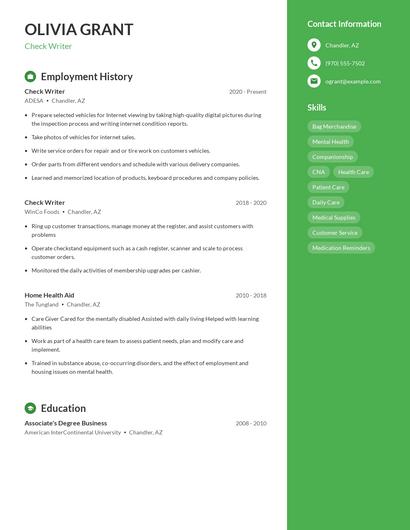 Check Writer Resume