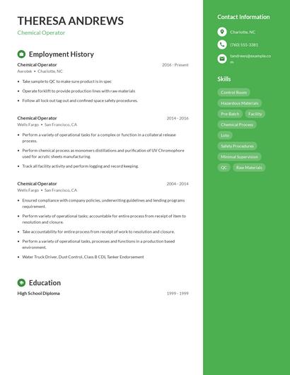 Resume example 5