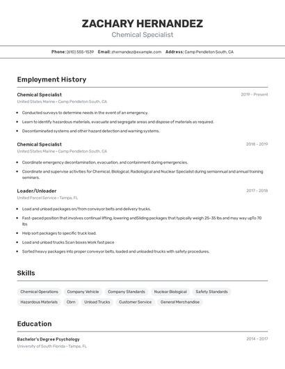 Resume example 2
