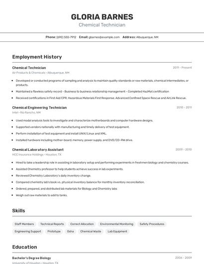 Resume example 2