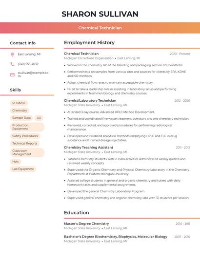 Resume example 3