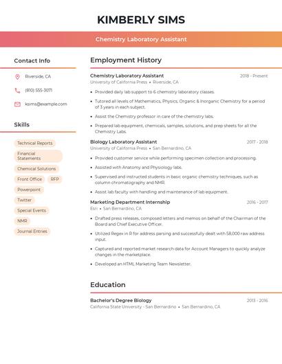 Resume example 3