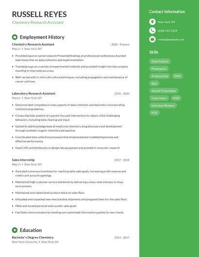 Resume example 5