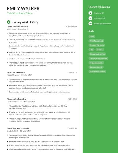 Resume example 4