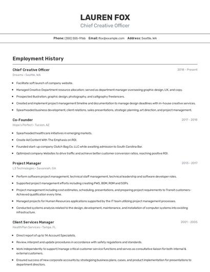 Chief Creative Officer Resume
