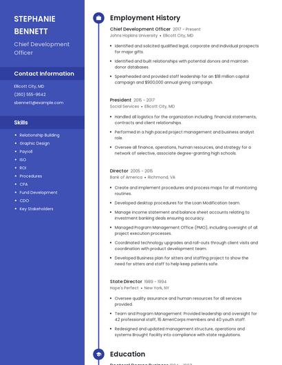 Chief Development Officer Resume