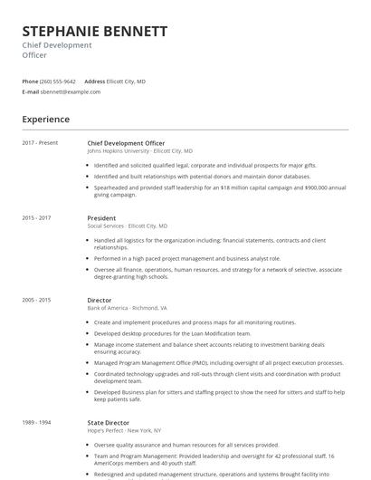 Chief Development Officer Resume