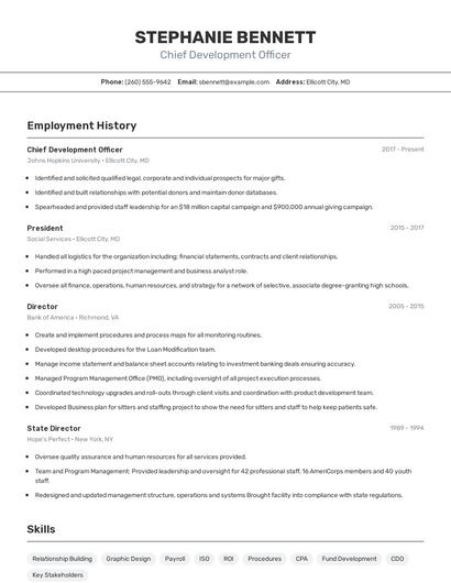 Chief Development Officer Resume