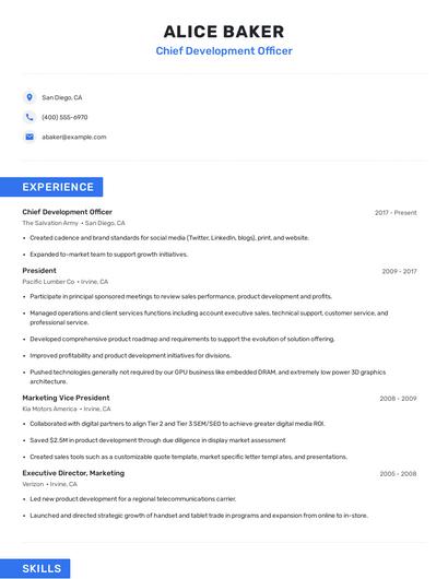 Chief Development Officer Resume