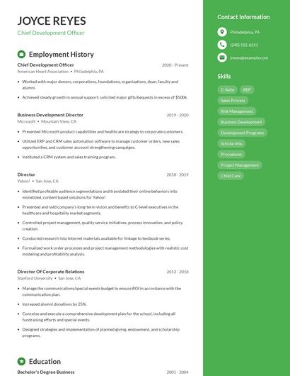 Chief Development Officer Resume