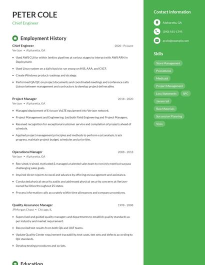 Resume example 4