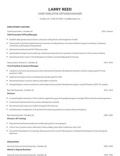 Chief Executive Officer/Manager Resume