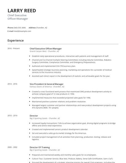 Chief Executive Officer/Manager Resume