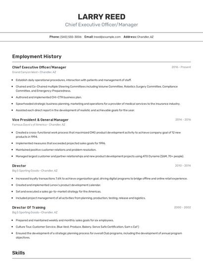 Chief Executive Officer/Manager Resume