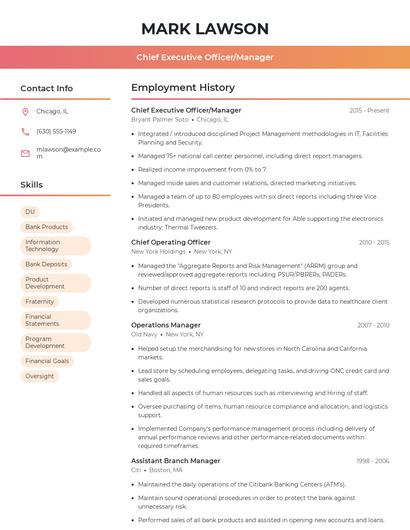 Chief Executive Officer/Manager Resume