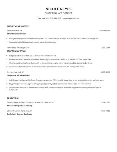 Chief Finance Officer Resume