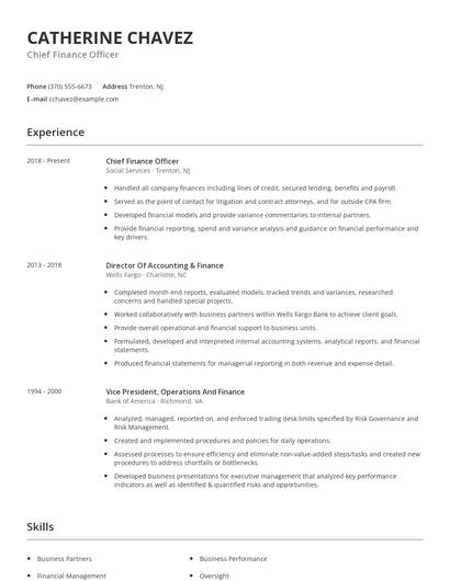 Chief Finance Officer Resume