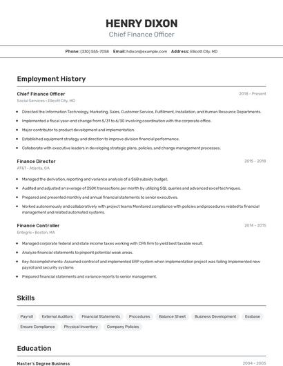 Chief Finance Officer Resume