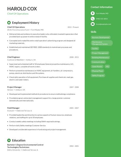 Resume example 4