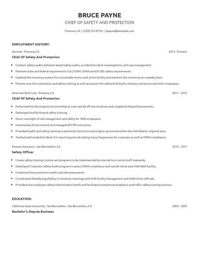 Chief Of Safety And Protection Resume