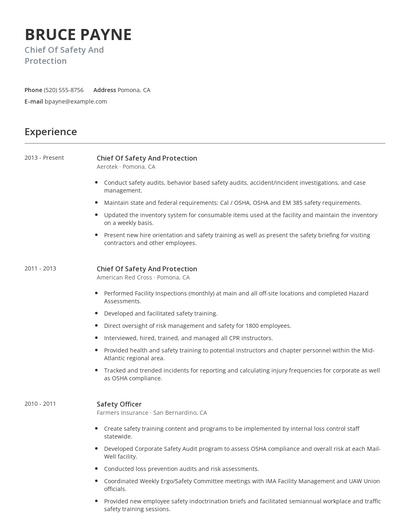 Chief Of Safety And Protection Resume