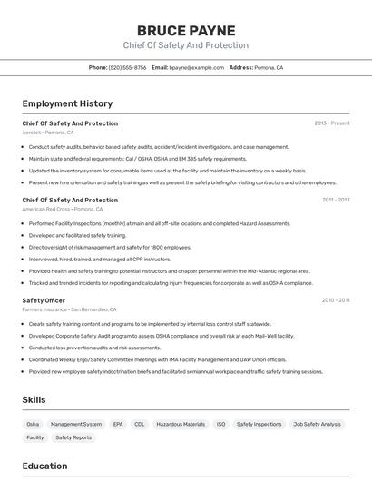 Chief Of Safety And Protection Resume