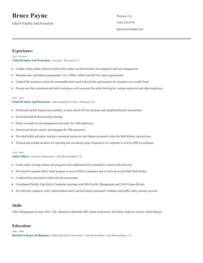 Chief Of Safety And Protection Resume