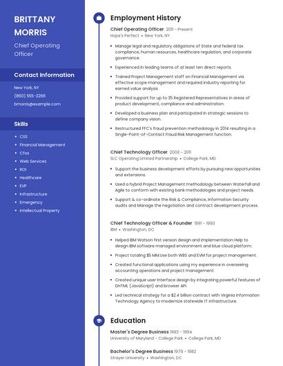 Resume example 4