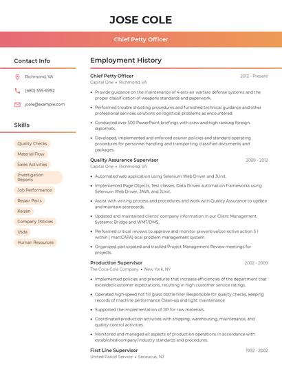 Resume example 3
