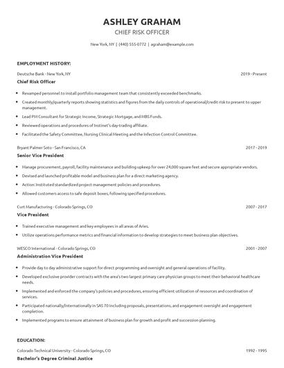Chief Risk Officer Resume