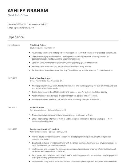 Chief Risk Officer Resume