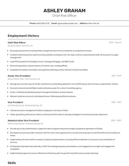 Chief Risk Officer Resume